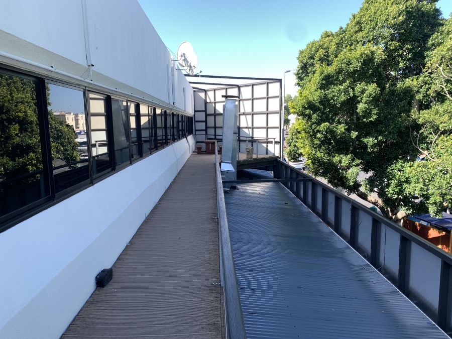 To Let commercial Property for Rent in Rondebosch Western Cape